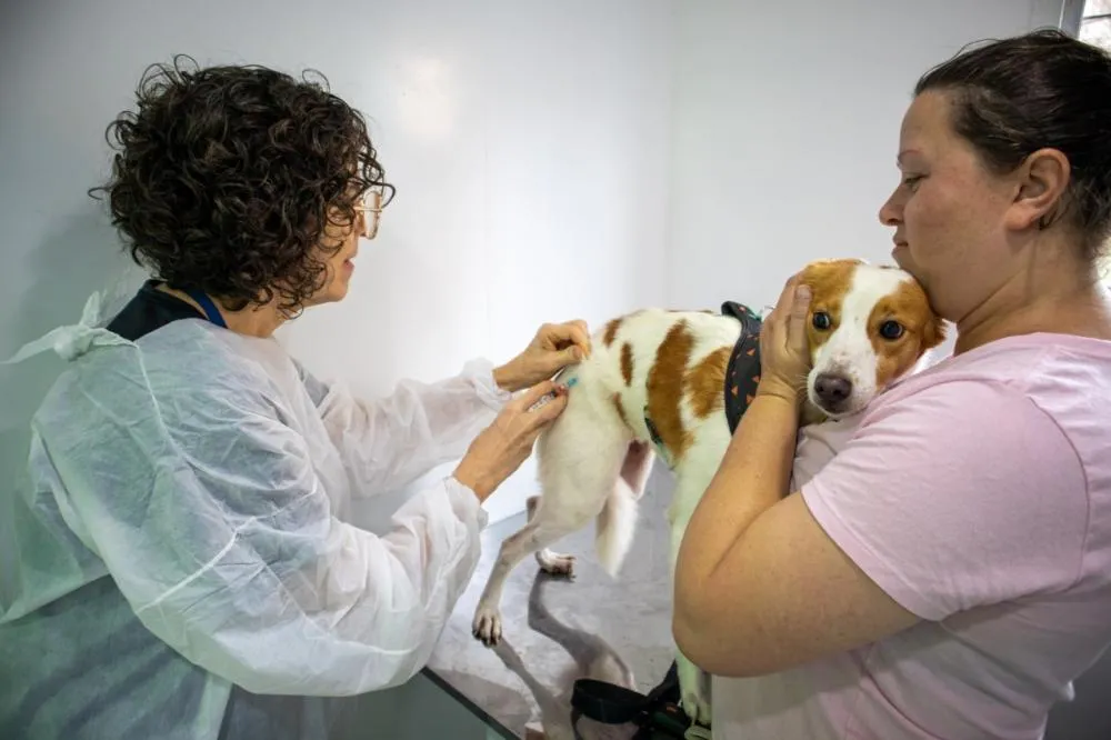 Prefeitura de Taboão da Serra leva ação Vacina Pet no Seu Bairro ao Jardim Salete. Foto: PMTS